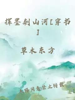 挥墨刺山河[穿书]