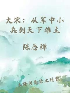 大宋：从军中小兵到天下雄主