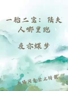 一胎二宝：陆夫人哪里跑