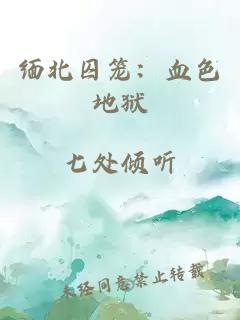 缅北囚笼：血色地狱