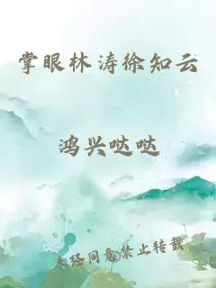 掌眼林涛徐知云