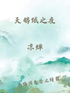天鹅绒之夜
