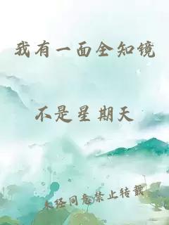 我有一面全知镜