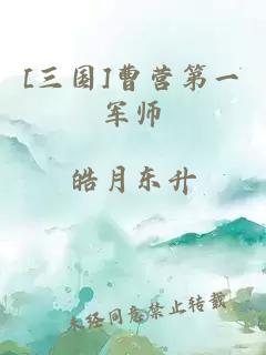 [三国]曹营第一军师