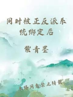 åæ¶è¢«æ­£åæ´¾ç³»ç»ç»å®å