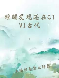 睡醒发现还在C1V1古代