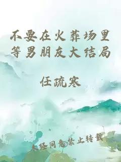 不要在火葬场里等男朋友大结局