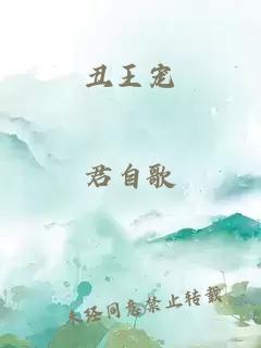 丑王宠
