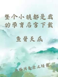 整个小镇都是我的孕育后宫下载