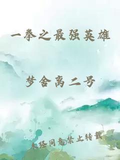 一拳之最强英雄