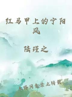 红马甲上的宁阳风