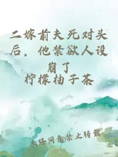 二嫁前夫死对头后，他禁欲人设崩了