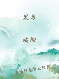 黑马