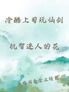 冷酷上司玩仙剑