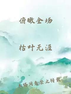 俯瞰全场
