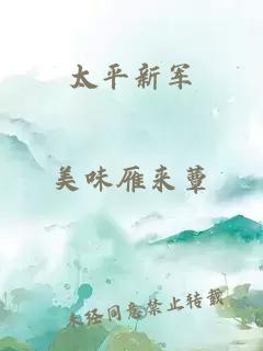 太平新军