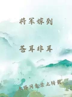 将军嫁到