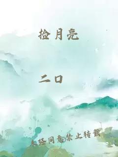 捡月亮
