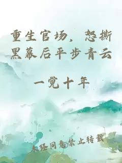 重生官场，怒撕黑幕后平步青云
