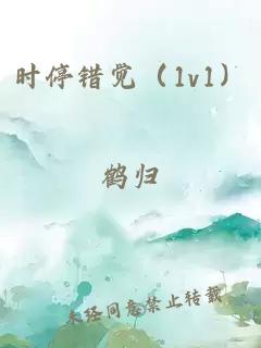 时停错觉（1v1）