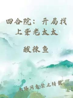 四合院：开局找上聋老太太