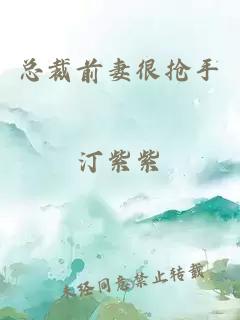 总裁前妻很抢手