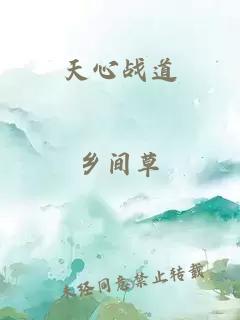 天心战道