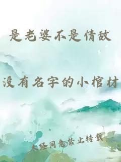是老婆不是情敌