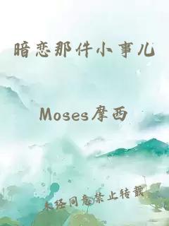 ææé£ä»¶å°äºå¿