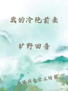 我的冷艳前妻