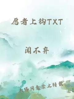 愿者上钩TXT